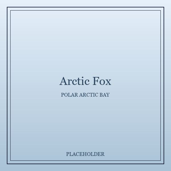 Arctic Fox portrait