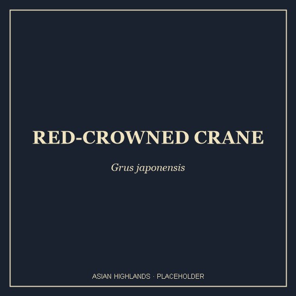 Red-crowned Crane portrait