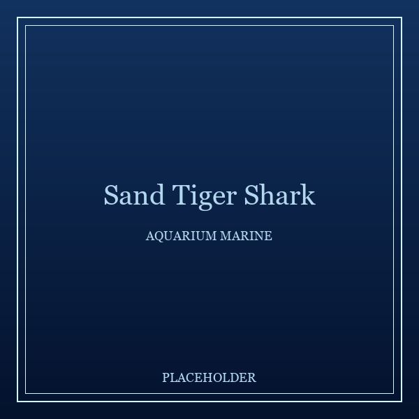 Sand Tiger Shark portrait