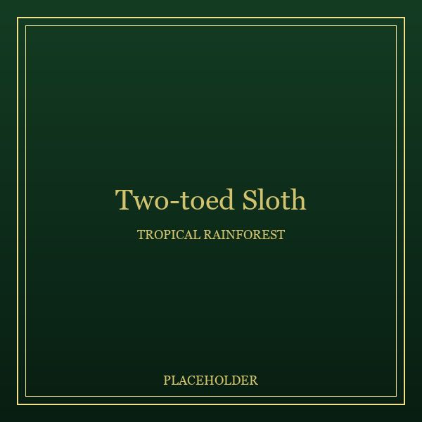 Linnaeus's Two-toed Sloth portrait