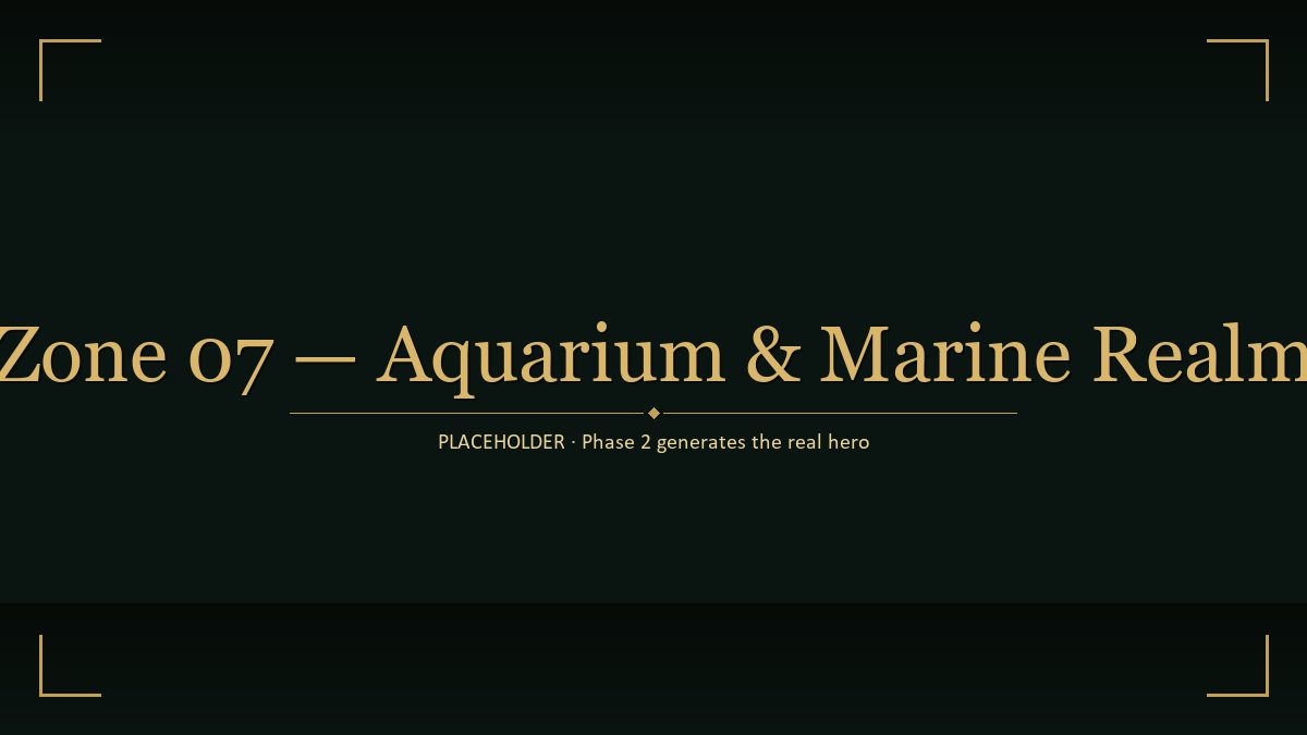 Aquarium & Marine Realm hero illustration