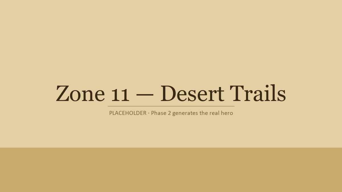 Desert Trails hero illustration — painted master-plan vignette