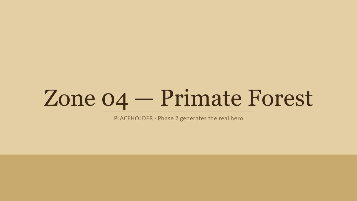 Primate Forest hero illustration