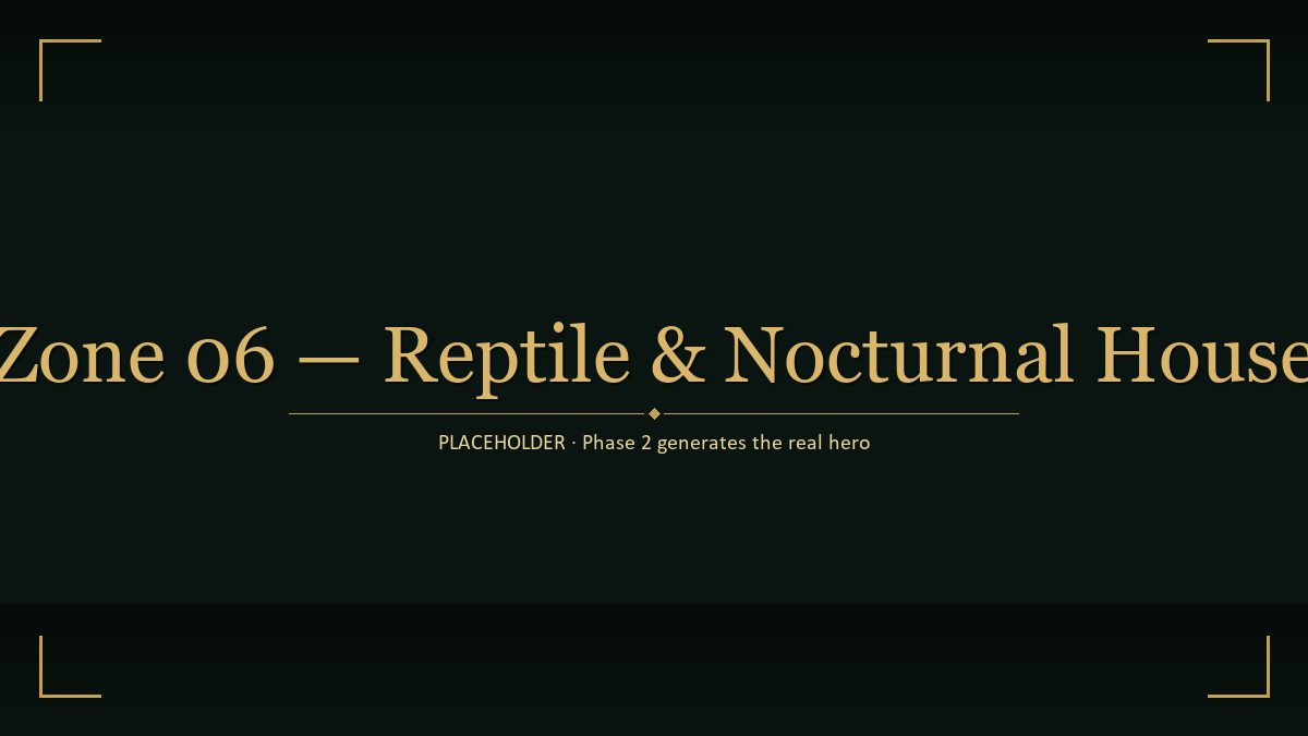 Reptile & Nocturnal House hero illustration